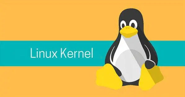 Linux Kernel 释放后重用漏洞(CVE-2023-33203)